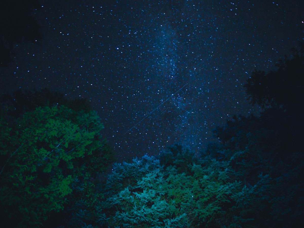 L&rsquo;échappée – Épisode 7 : Le visage&nbsp;effacé